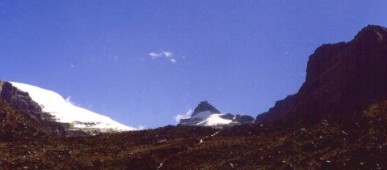 CAMPANILLA BLANCO